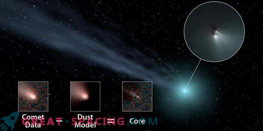 Le grandi comete distanti sono comuni