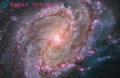 De Hubble-telescoop toonde het leven van sterren in het Zuid-Spinner-stelsel.