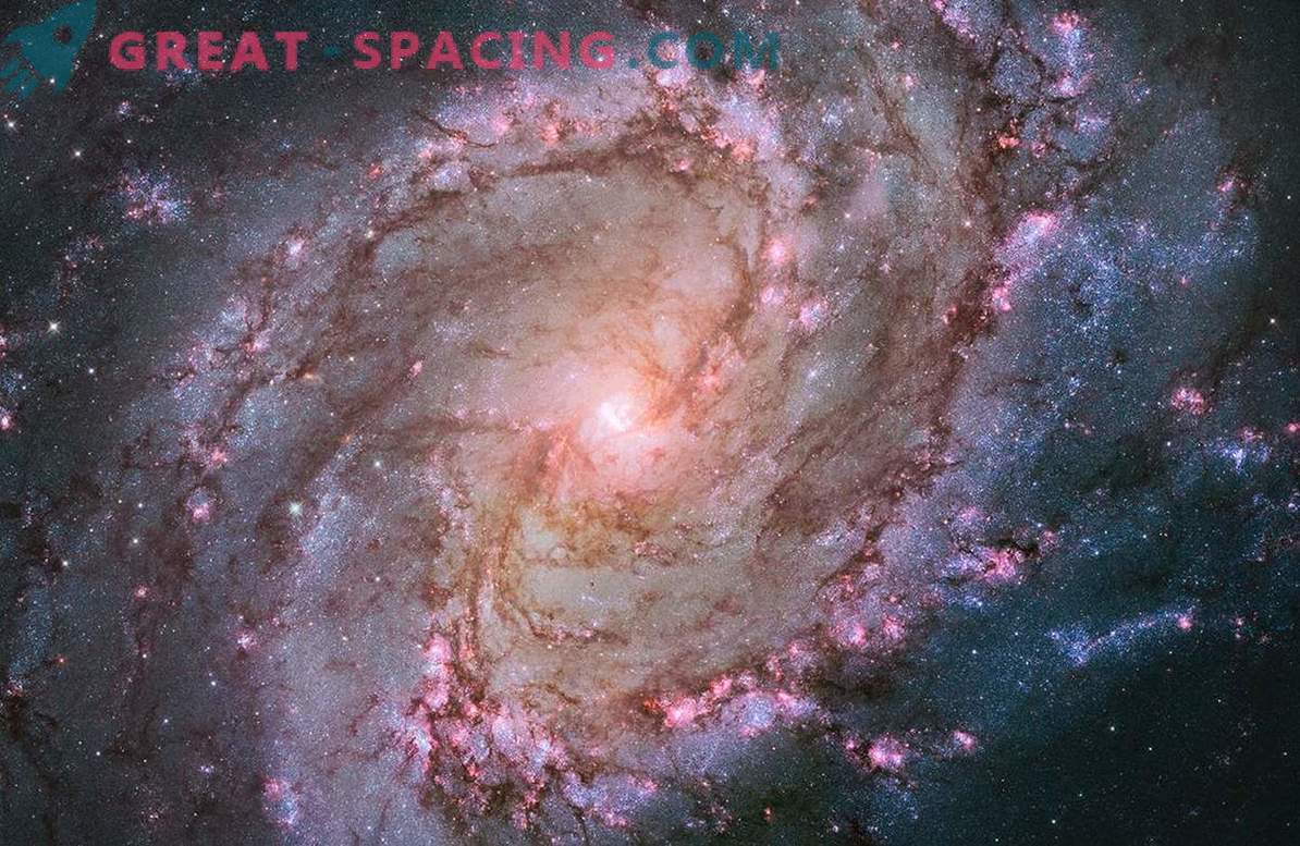 Il telescopio Hubble ha mostrato la vita delle stelle nella galassia South Spinner.