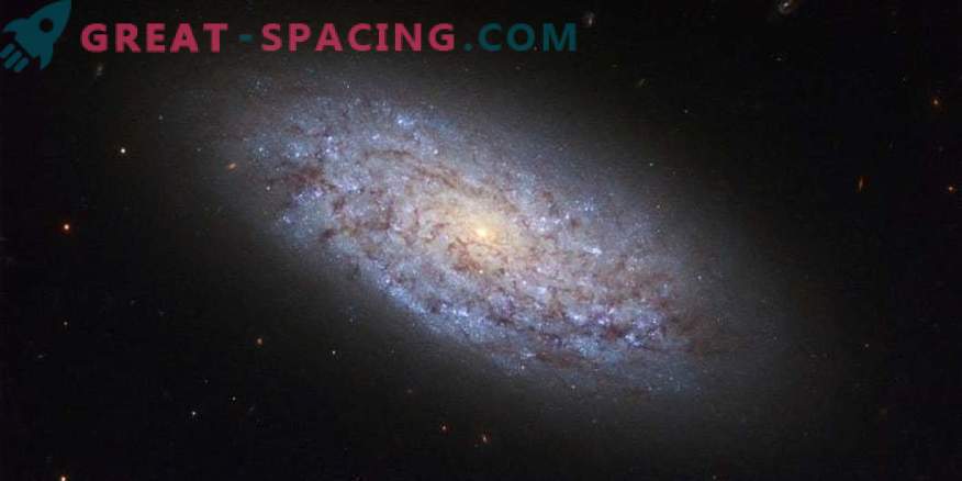 Omologata galassia a spirale antica