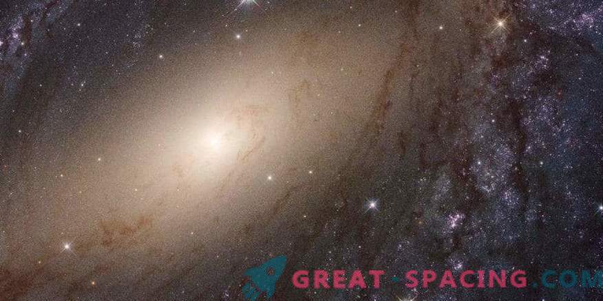 Gli scienziati hanno rilasciato una recensione completa della luce UV delle galassie vicine