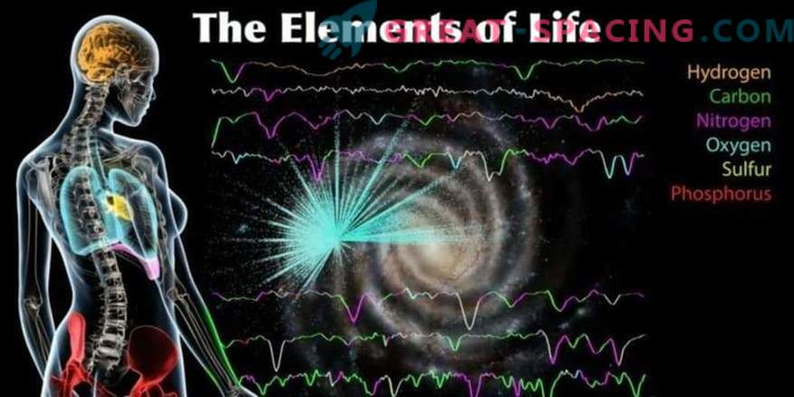 È stata creata una mappa degli elementi costitutivi della vita della Via Lattea