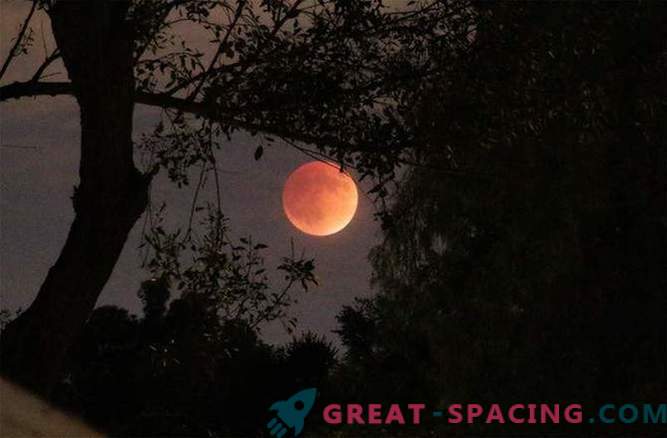 La splendida Blood Moon ha colpito il mondo: foto