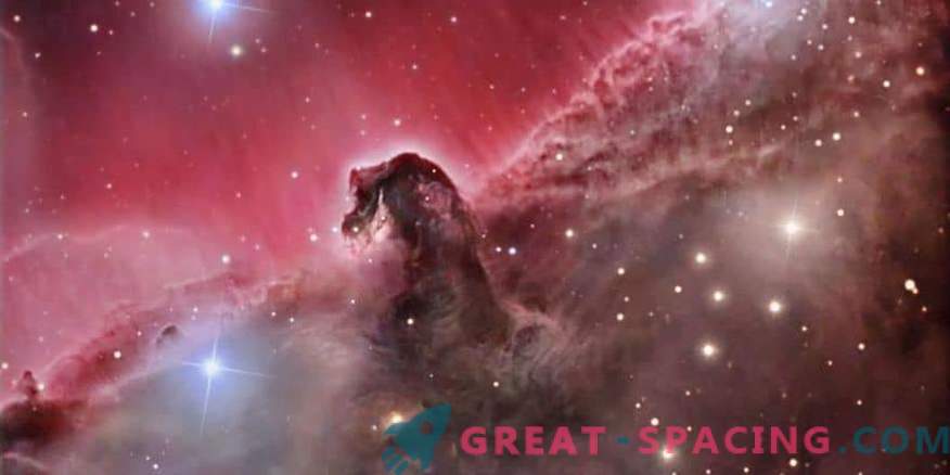 Cosa succede nella Nebulosa Testa di Cavallo?