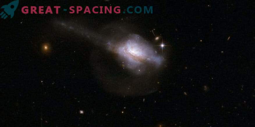 Nucleo galattico attivo e nascita di stelle