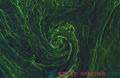 Il satellite cattura il gorgo delle alghe verdi