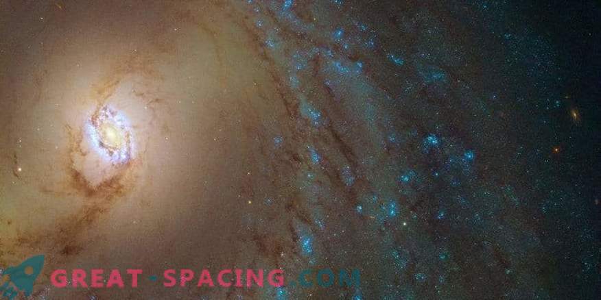 Amazing Galaxy Rings M 95