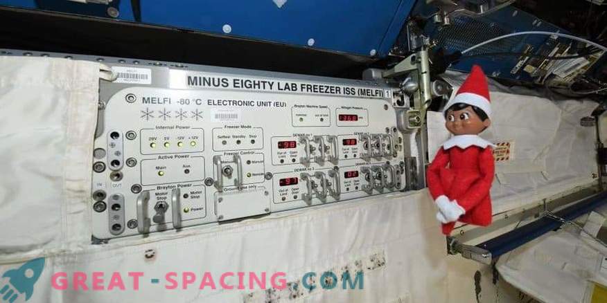Elfo sulla Stazione Spaziale Internazionale