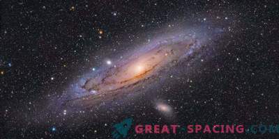Sfarfallio della galassia di Andromeda in un variopinto mare di stelle