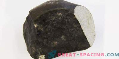 Gli scienziati olandesi celebrano l'arrivo di un raro meteorite