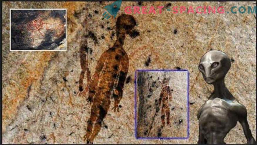 Che tipo di creature sono raffigurate su una grotta di 10.000 anni