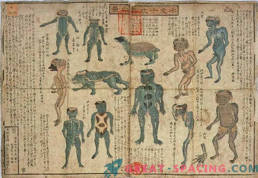 La mostra di 200 anni del Museo giapponese assomiglia a una creatura mitologica di Kapp. Versione ufologov