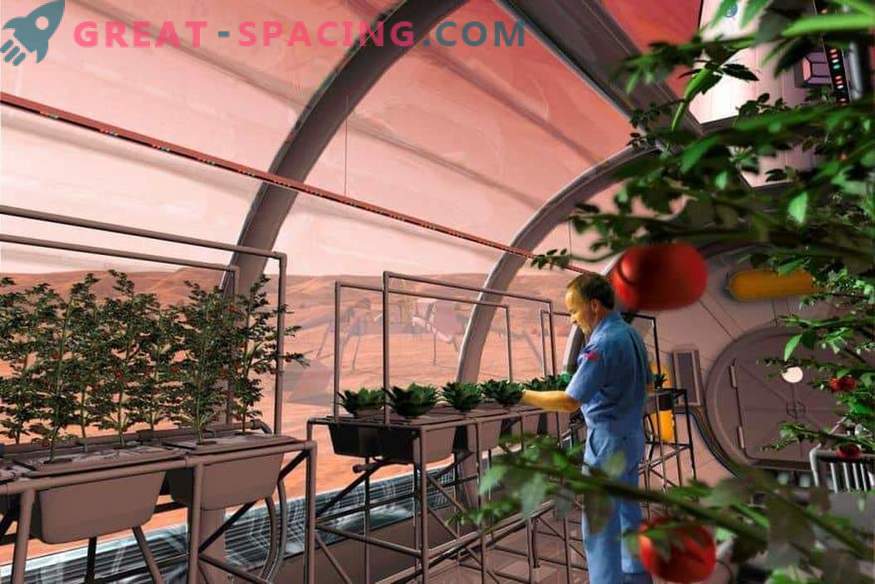 La NASA manderà le piante su Marte?