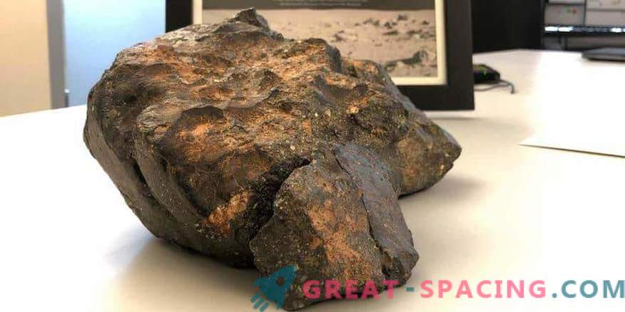 Il meteorite lunare è stato venduto per $ 600.000