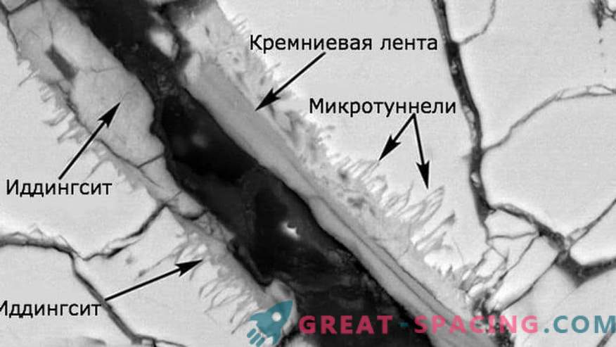 La vita viene rilevata in campioni di un meteorite marziano